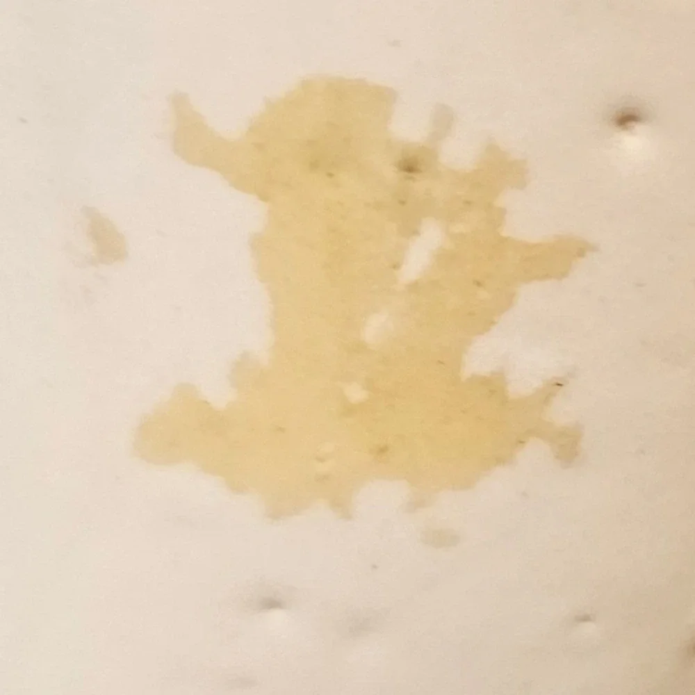 Mccoy flared embossed